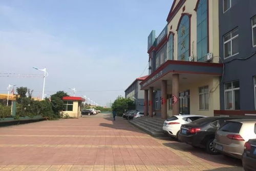 厂区拍卖 多家追债 东营又一轮胎厂危在旦夕