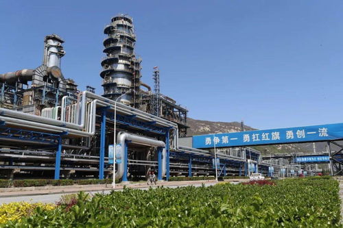 燕山石化协调推进炼油清洁化改造项目群建设