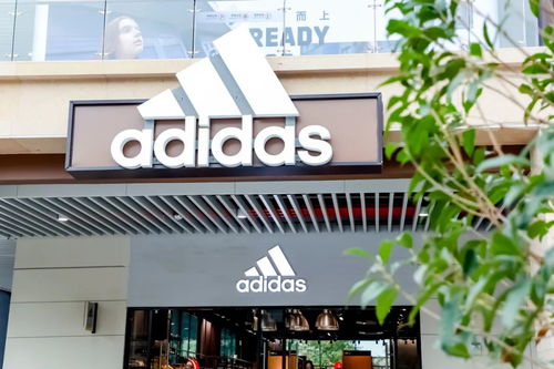 全国首家国风精品奥莱亮相 杭州百联奥莱的创新与奥禹森模式解析